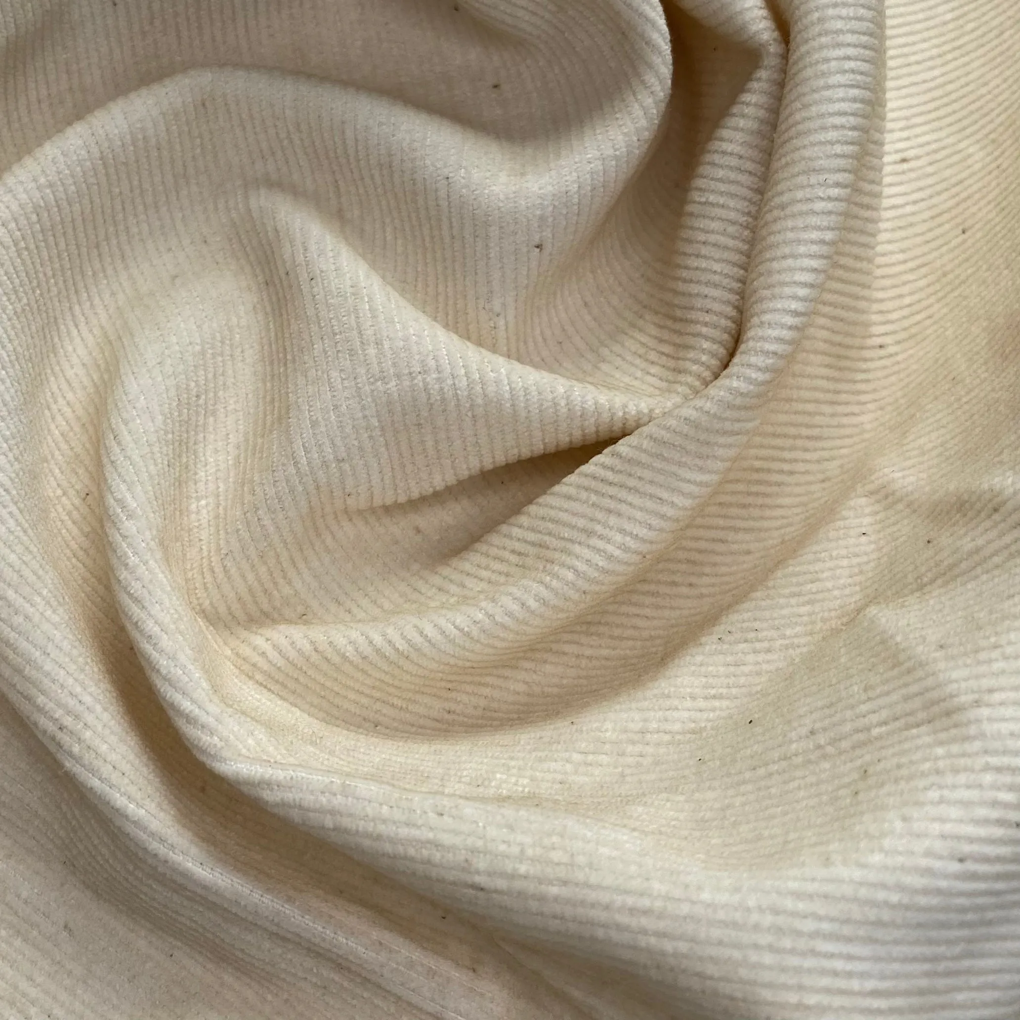 Cotton Corduroy - Pinwale - Unbleached Natural