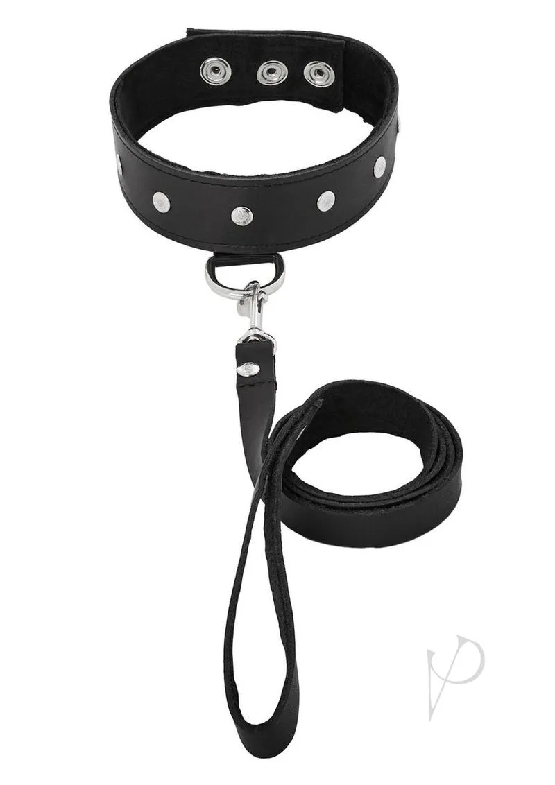 Leather Leash and Collar