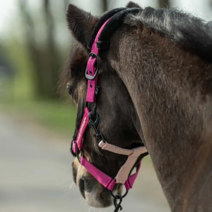 Pony Head Collar Polly