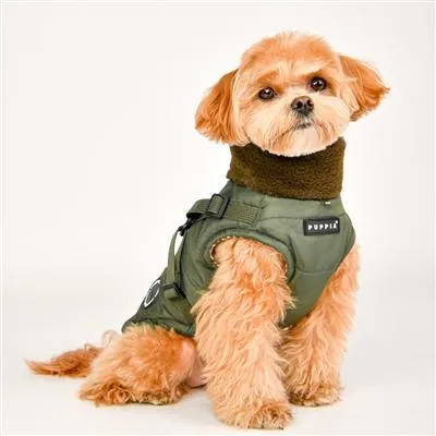 Puppia Donavan Coat