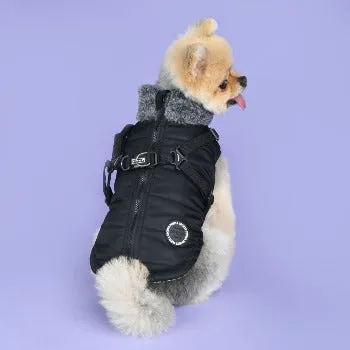 Puppia Donavan Coat