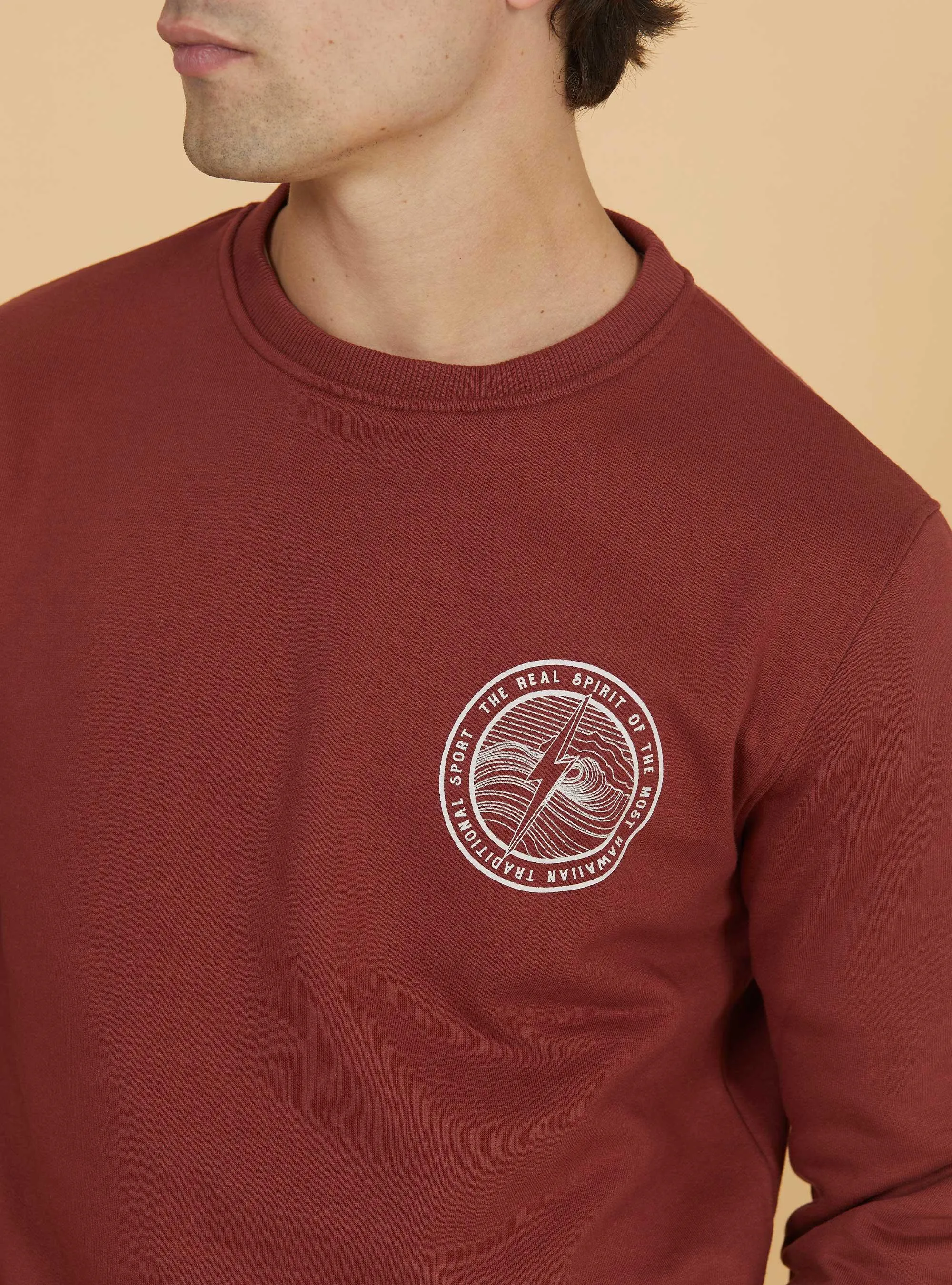 REGULAR SWEATSHIRT WITH BACK PRINT