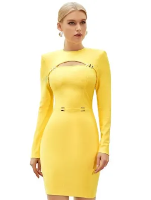 Stylish Long Sleeve Hollow Out Bodycon Dresses For Women